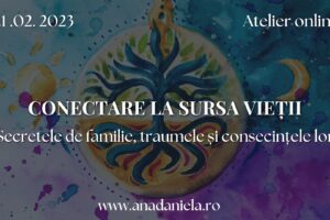 Conectare la sursa vieții - Secretele de familie, traumele și consecințele lor - Ana Daniela Tanasuc